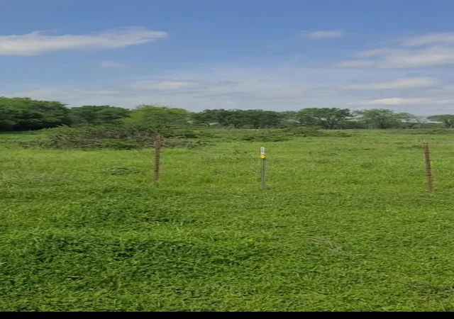 Photo 3 of Land for sale at Tbd Us 69 Hwy, Lone Oak, TX 75453 | MLS# 21345329 | Listing updated on 2026-09-04