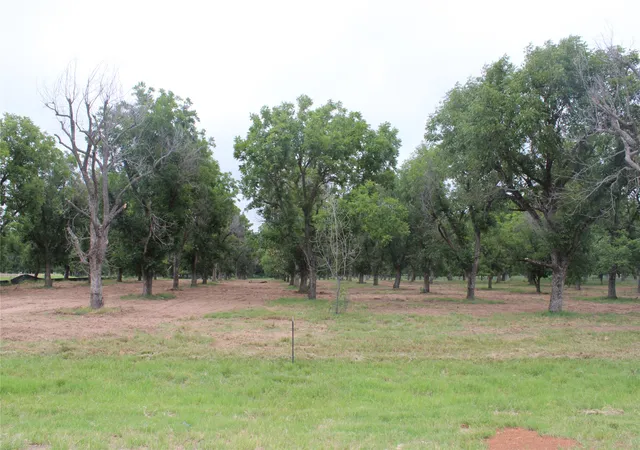Photo 2 of Land for sale at 3173 E Landings S, Granbury, TX 76049 | MLS# 21345475 | Listing updated on 2026-07-31