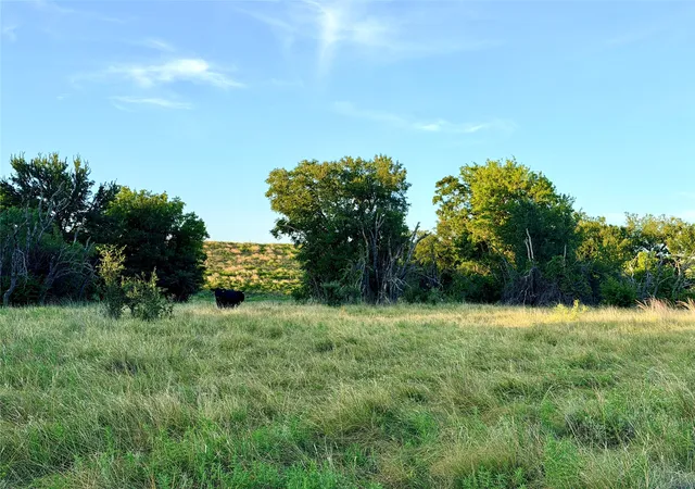 Photo 3 of Land for sale at 130 County Road 120, Goldthwaite, TX 76844 | MLS# 21345159 | Listing updated on 2026-07-31