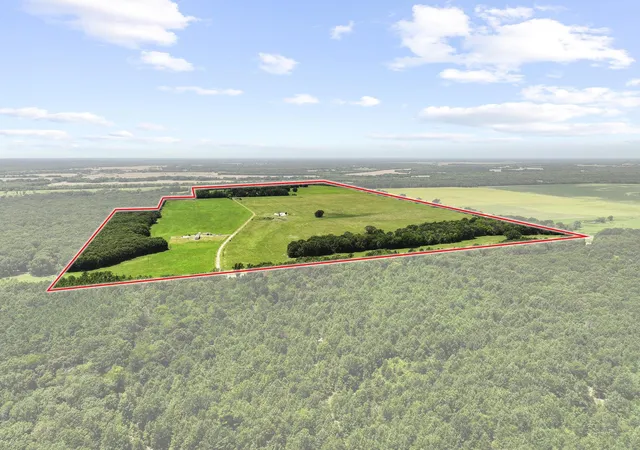 Photo 3 of Land for sale at 7091 Farm Market 412, Clarksville, TX 75426 | MLS# 21345601 | Listing updated on 2026-07-31