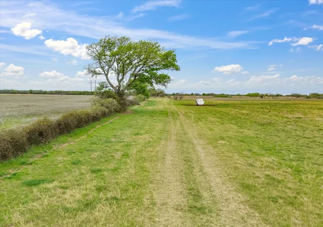 Photo 3 of Land for sale at Tbd Fm 1655, Chico, TX 76431 | MLS# 21346093 | Listing updated on 2026-07-31