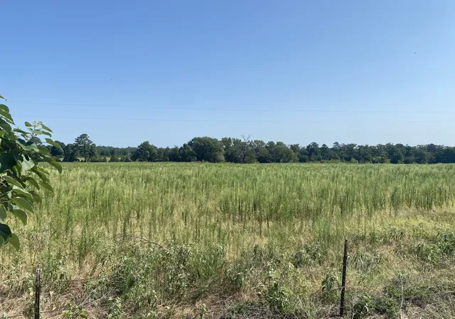 Photo 3 of Land for sale at 000 Cr 1323, Pittsburg, TX 75686 | MLS# 21346965 | Listing updated on 2026-07-31