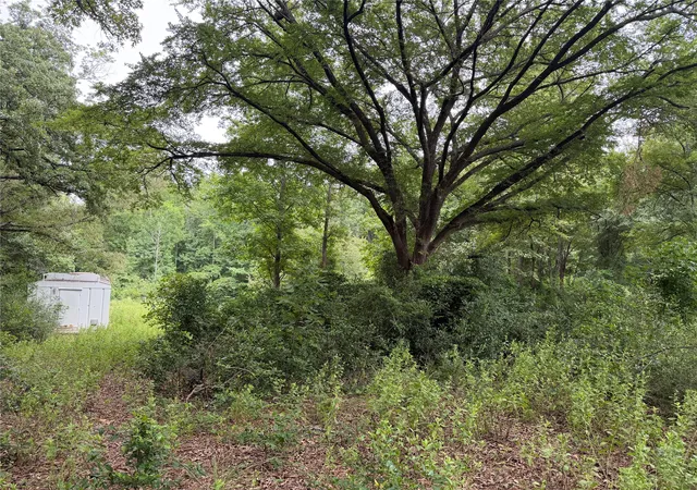 Photo 13 of Land for sale at 10490 Browning St, Brownsboro, TX 75756 | MLS# 21347026 | Listing updated on 2026-07-31
