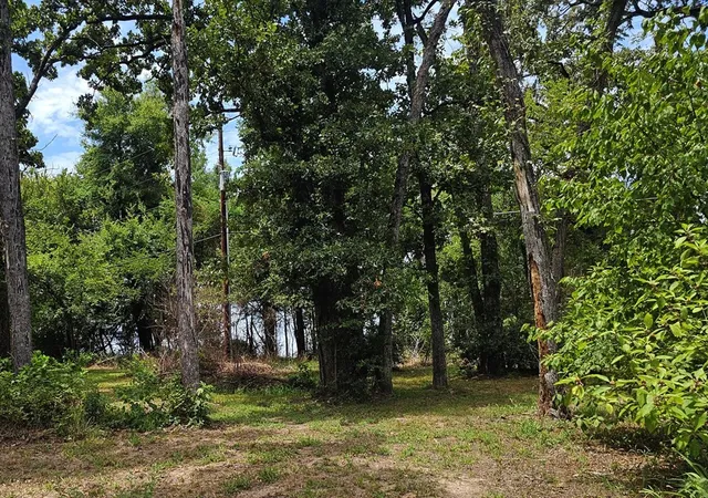 Photo 1 of Land for sale at 120 Tarpon, Mabank, TX 75156 | MLS# 21347222 | Listing updated on 2026-09-08