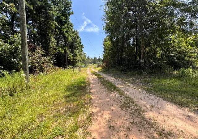 Photo 1 of Land for sale at 551 Pleasure Point Rd, Avinger, TX 75630 | MLS# 21347634 | Listing updated on 2026-09-15