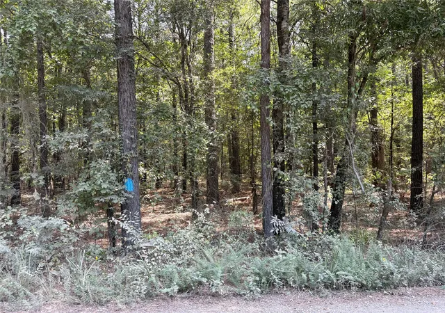Photo 2 of Land for sale at 0 Moran St, Haughton, LA 71037 | MLS# 21347918 | Listing updated on 2026-08-03