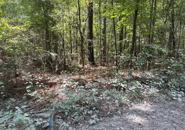 Photo 3 of Land for sale at 0 Moran St, Haughton, LA 71037 | MLS# 21347918 | Listing updated on 2026-08-03