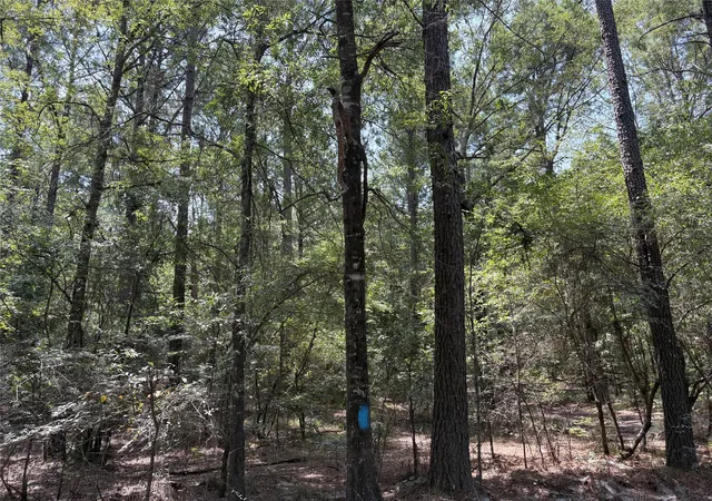 Photo 4 of Land for sale at 0 Moran St, Haughton, LA 71037 | MLS# 21347918 | Listing updated on 2026-08-03