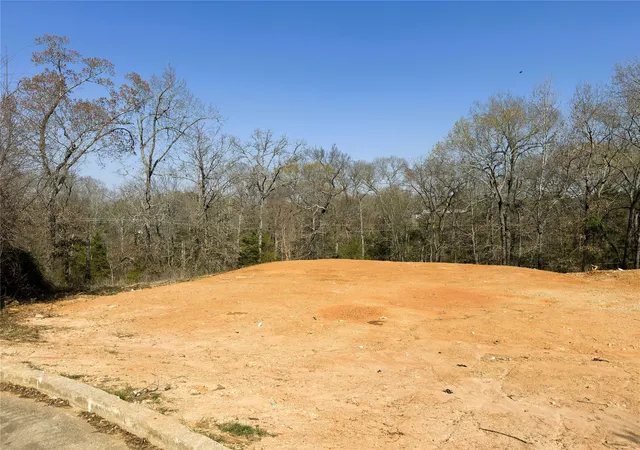 Photo 3 of Land for sale at 110 Elmwood Ct, Palestine, TX 75801 | MLS# 21348022 | Listing updated on 2026-08-02