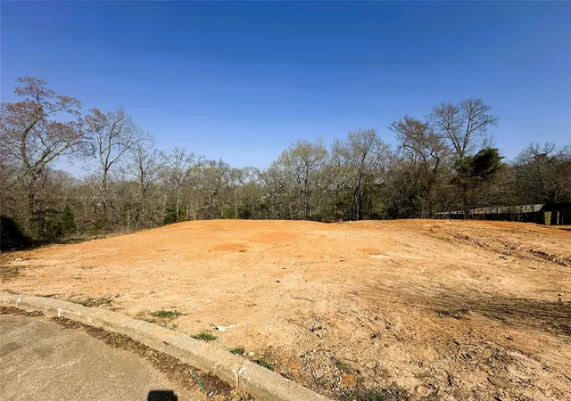 Photo 4 of Land for sale at 110 Elmwood Ct, Palestine, TX 75801 | MLS# 21348022 | Listing updated on 2026-08-02