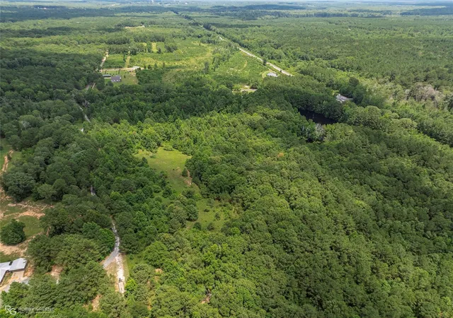 Photo 2 of Land for sale at P 1 Stuckey Rd, Dubberly, LA 71024 | MLS# 21348144 | Listing updated on 2026-08-03
