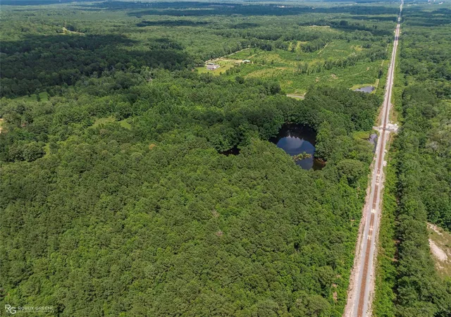 Photo 3 of Land for sale at P 1 Stuckey Rd, Dubberly, LA 71024 | MLS# 21348144 | Listing updated on 2026-08-03