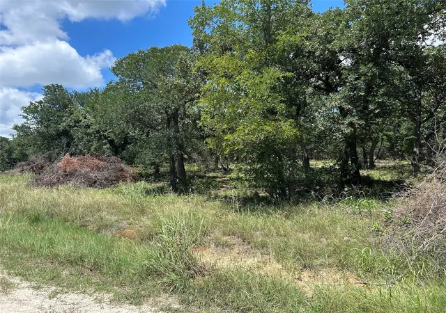 Photo 4 of Sale Pending at Tbd Hill County Road 1248, Whitney, TX 76692 | MLS# 21349425 | Listing updated on 2026-09-13
