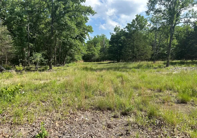 Photo 3 of Land for sale at Lot 2 North Shore Rd, Quinlan, TX 75474 | MLS# 21349231 | Listing updated on 2026-09-09
