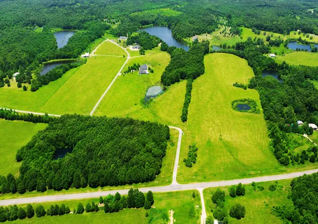 Photo 4 of Land for sale at Tbd Prvt Road 5290, Yantis, TX 75497 | MLS# 21354079 | Listing updated on 2026-09-09