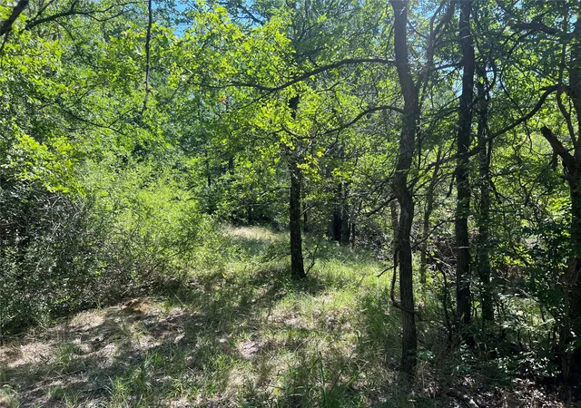 Photo 3 of Land for sale at 137 Cr, Cisco, TX 76437 | MLS# 21353881 | Listing updated on 2026-09-11