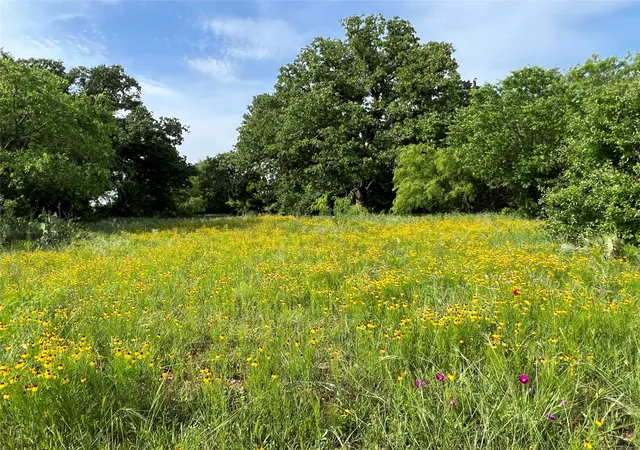 Photo 3 of House for sale at 137 Cr, Cisco, TX 76437 | MLS# 21353881 | Listing updated on 2026-09-11