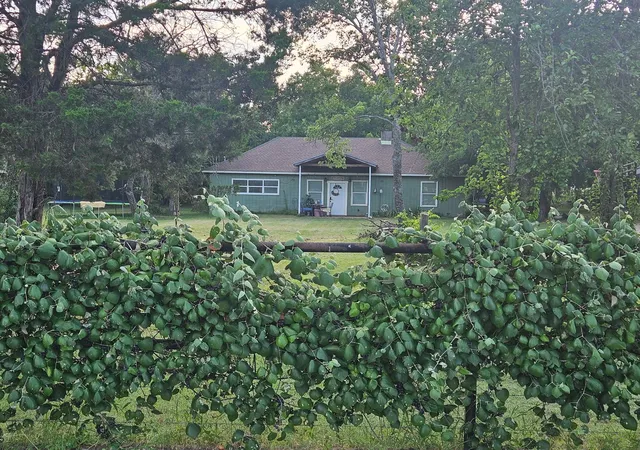 Photo 4 of Single family home for sale at 138 County Road 4876, Newark, TX 76071 | MLS# 21356820 | Listing updated on 2026-09-10