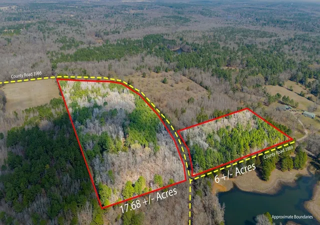 Land for sale at Tbd County Road 3986, Winnsboro, TX 75494 | MLS# 21357062