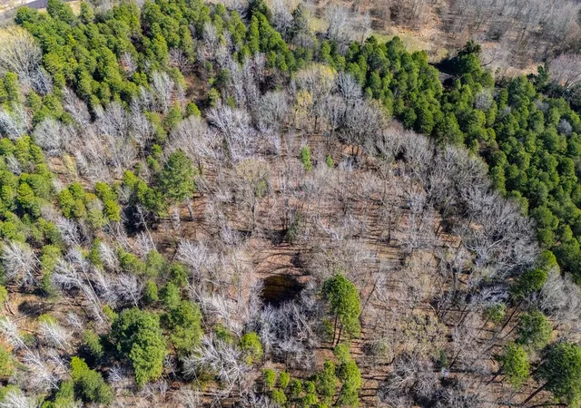 Photo 3 of Land for sale at Tbd County Road 3986, Winnsboro, TX 75494 | MLS# 21357062 | Listing updated on 2026-10-01