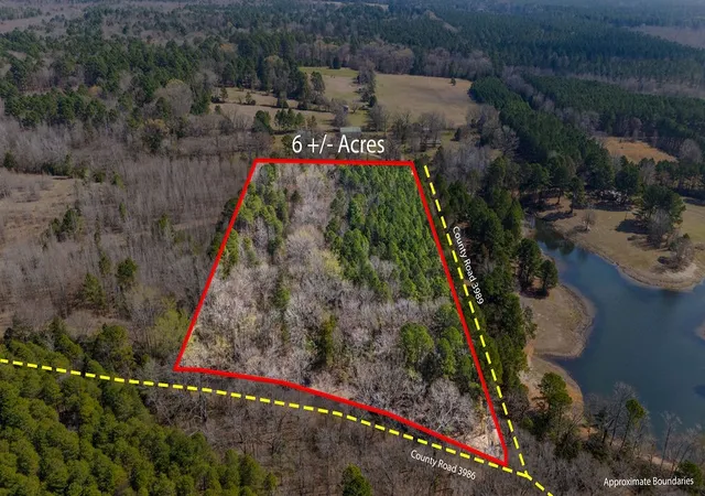 Photo 4 of Land for sale at Tbd County Road 3986, Winnsboro, TX 75494 | MLS# 21357062 | Listing updated on 2026-10-01