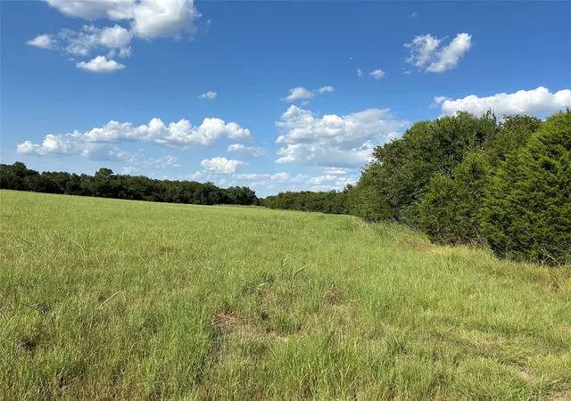 Photo 4 of Sale Pending at Tbd Fm 219, Clifton, TX 76634 | MLS# 21353331 | Listing updated on 2026-09-14