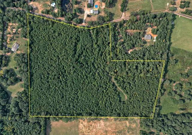Photo 1 of Sale Pending at 00 County Road 164, Long Branch, TX 75669 | MLS# 21355904 | Listing updated on 2026-09-09