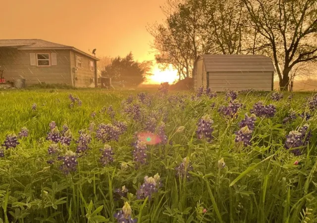 Photo 1 of Single family home for sale at 4410 Fm 118, Greenville, TX 75401 | MLS# 21357856 | Listing updated on 2026-09-10