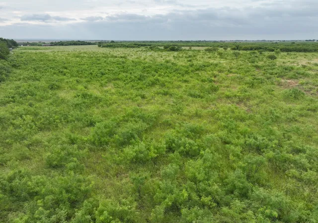 Photo 3 of Land for sale at 147 Porcupine Trail, Tuscola, TX 79562 | MLS# 21358343 | Listing updated on 2026-09-11