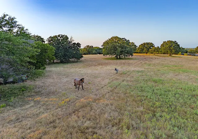 Photo 1 of Single family home for sale at 2403 County Road 2224, Decatur, TX 76234 | MLS# 21358677 | Listing updated on 2026-09-28