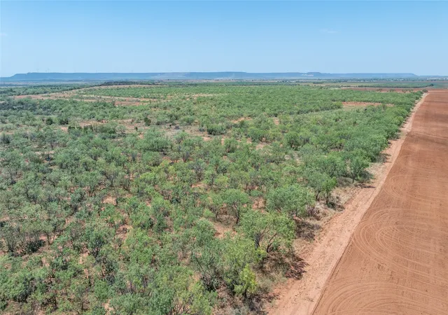 Photo 2 of Land for sale at 777 Noodle Dome Road, Trent, TX 79561 | MLS# 21355347 | Listing updated on 2026-09-28