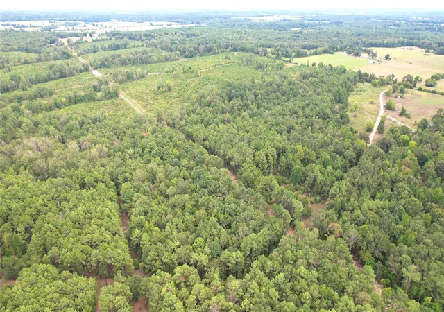 Photo 2 of Land for sale at 0 County Road 152, Carthage, TX 75633 | MLS# 21362106 | Listing updated on 2026-09-25