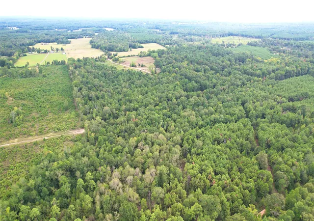 Photo 3 of Land for sale at 0 County Road 152, Carthage, TX 75633 | MLS# 21362106 | Listing updated on 2026-09-25