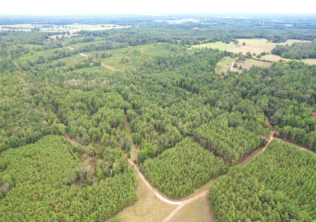 Photo 3 of Land for sale at 0 County Road 152, Carthage, TX 75633 | MLS# 21362106 | Listing updated on 2026-09-25