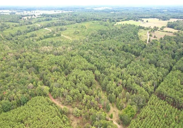 Photo 4 of Land for sale at 0 County Road 152, Carthage, TX 75633 | MLS# 21362106 | Listing updated on 2026-09-25