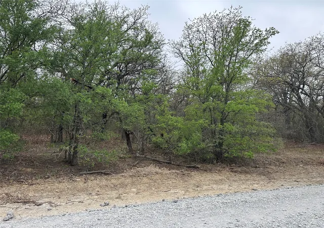 Photo 1 of Land for sale at Tbd Martins Ln, Bridgeport, TX 76426 | MLS# 21362686 | Listing updated on 2026-09-10