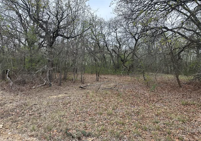 Photo 2 of Land for sale at Tbd Martins Ln, Bridgeport, TX 76426 | MLS# 21362686 | Listing updated on 2026-09-10