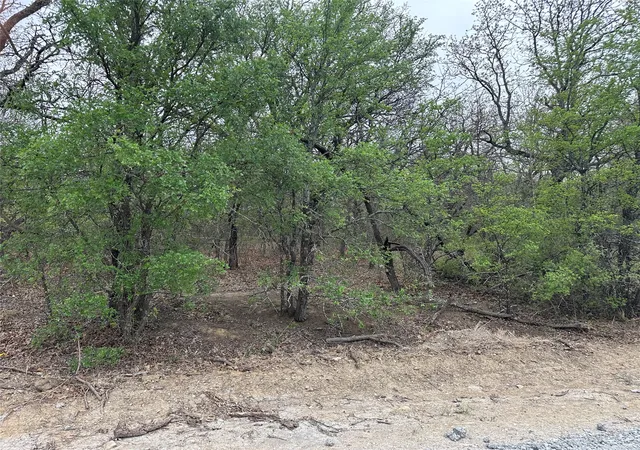 Photo 3 of Land for sale at Tbd Martins Ln, Bridgeport, TX 76426 | MLS# 21362686 | Listing updated on 2026-09-10