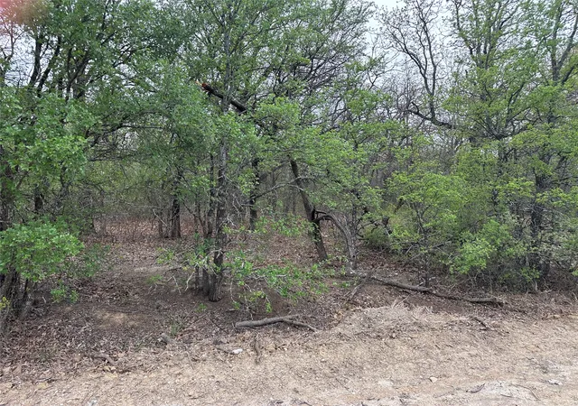Photo 3 of Land for sale at Tbd Martins Ln, Bridgeport, TX 76426 | MLS# 21362686 | Listing updated on 2026-09-10