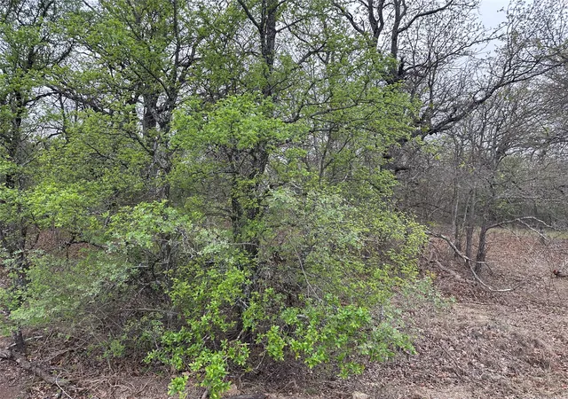 Photo 4 of Land for sale at Tbd Martins Ln, Bridgeport, TX 76426 | MLS# 21362686 | Listing updated on 2026-09-10