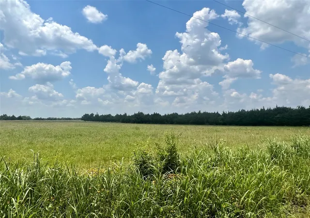 Photo 1 of Land for sale at 3442 County Rd, Blossom, TX 75416 | MLS# 21362554 | Listing updated on 2026-09-08