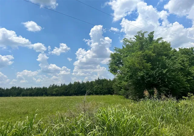 Photo 2 of Land for sale at 3442 County Rd, Blossom, TX 75416 | MLS# 21362554 | Listing updated on 2026-09-08