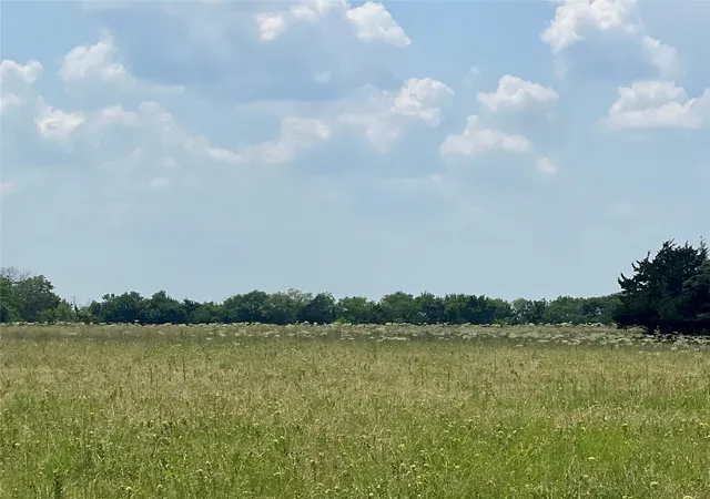 Photo 4 of Land for sale at 3442 County Rd, Blossom, TX 75416 | MLS# 21362554 | Listing updated on 2026-09-08