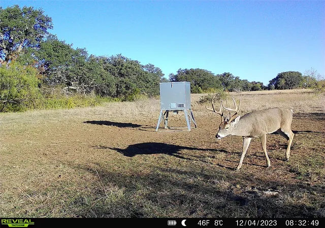 Land for sale at 11 County Road 191, Mullin, TX 76864 | MLS# 21365459