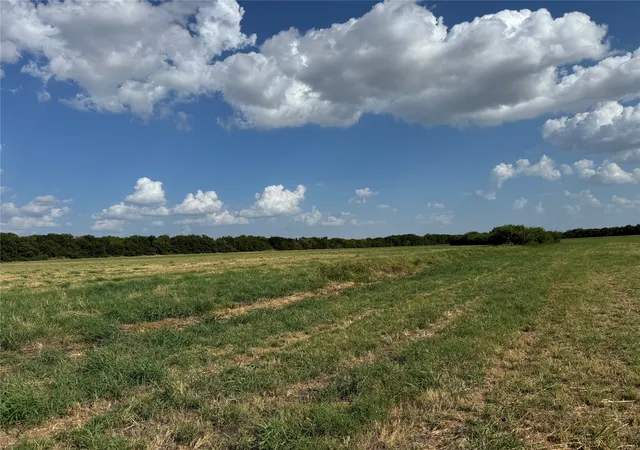 Photo 2 of Land for sale at Tract 10, 23568 Acres County Rd 3700, Leonard, TX 75452 | MLS# 21365536 | Listing updated on 2026-09-30