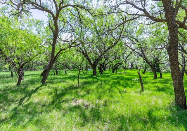 Photo 3 of Sale Pending at 1010 Mesquite Ln, Abilene, TX 79601 | MLS# 21366761 | Listing updated on 2026-09-21