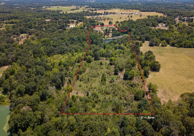 Photo 4 of Single family home for sale at 8266 Fm 17, Grand Saline, TX 75140 | MLS# 21366725 | Listing updated on 2026-10-02