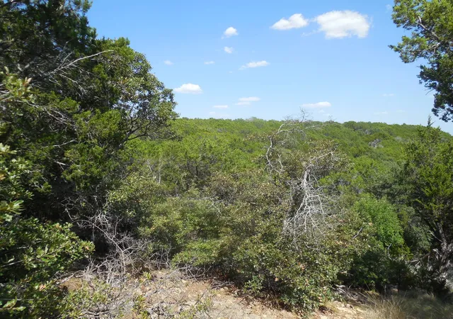 Land for sale at Tbd East Loop 254, Ranger, TX 76470 | MLS# 21367174