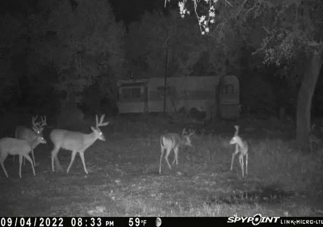 Photo 3 of Land for sale at Tbd East Loop 254, Ranger, TX 76470 | MLS# 21367174 | Listing updated on 2026-09-08