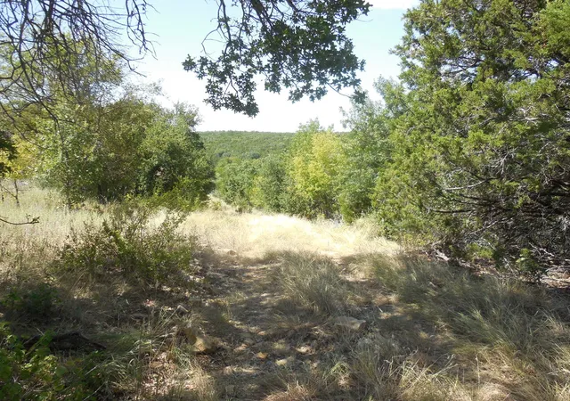 Photo 4 of House for sale at Tbd East Loop 254, Ranger, TX 76470 | MLS# 21367174 | Listing updated on 2026-09-08